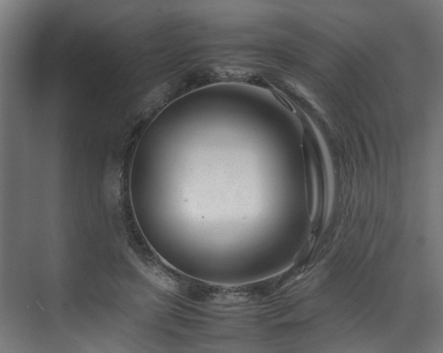 X0000074290451200608251348