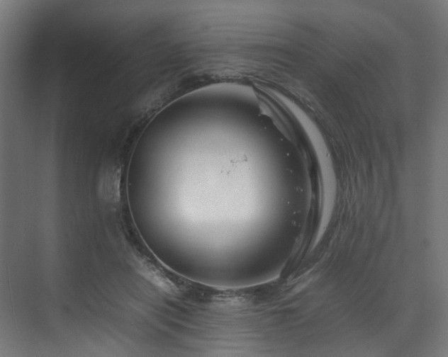 X0000074290454200608251348