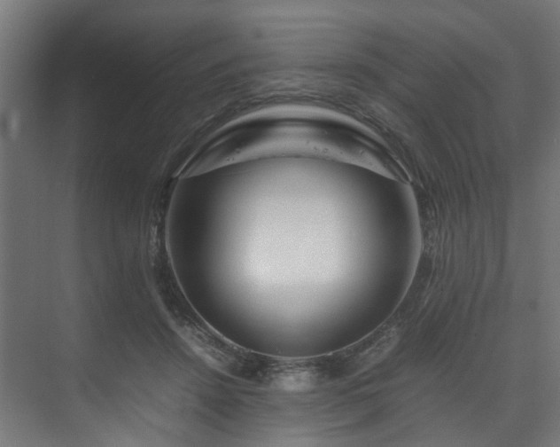 X0000074290456200608251349