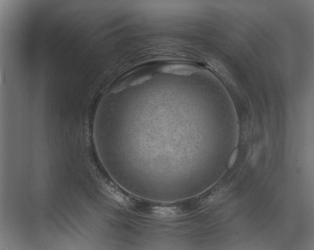 X0000074290457200608251349