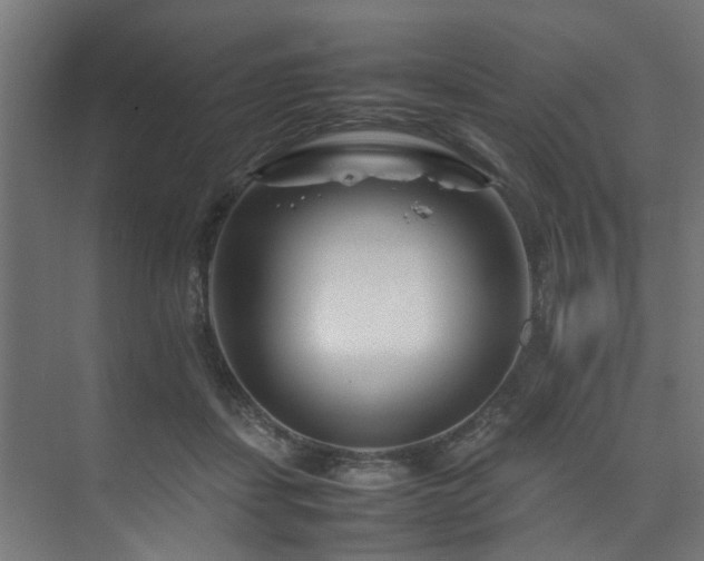 X0000074290459200608251349