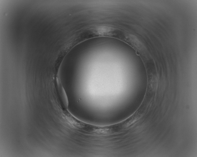 X0000074290461200608251349