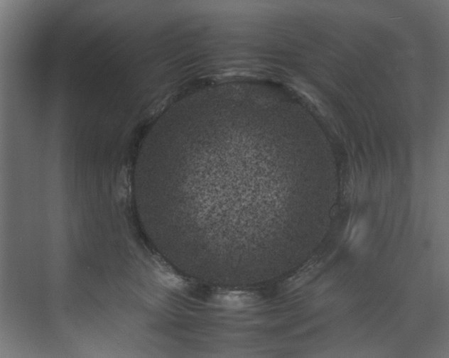 X0000074290467200608251349