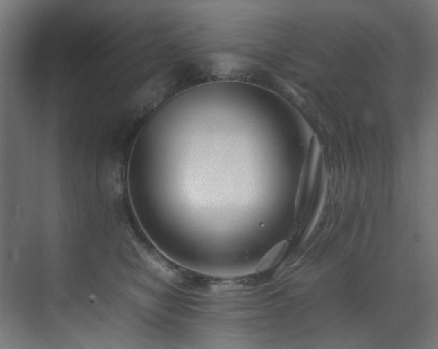 X0000074290470200608251349