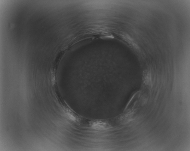 X0000074290471200608251349