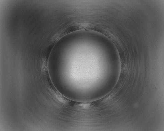 X0000074290478200608251349