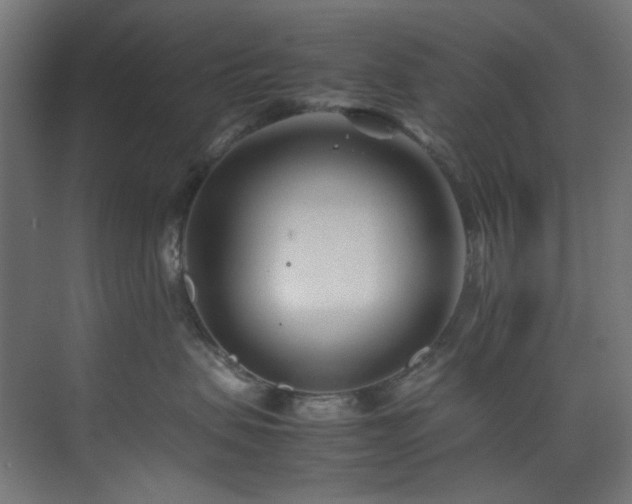 X0000074290479200608251349