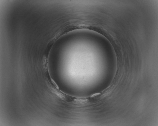 X0000074290480200608251349