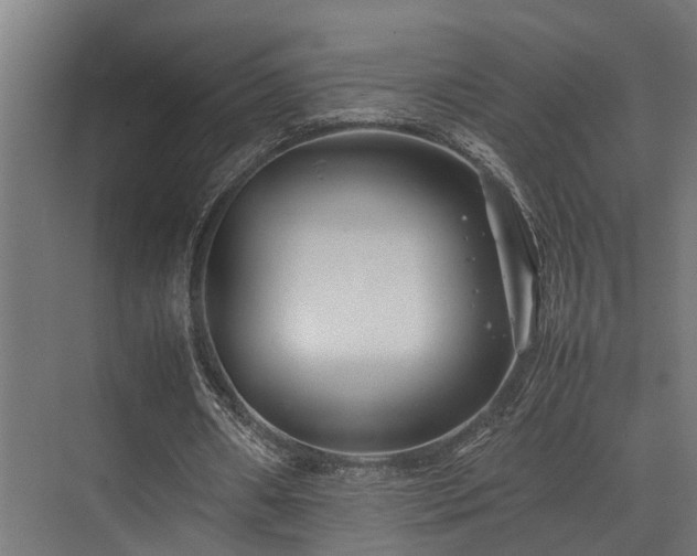 X0000074290482200608251348