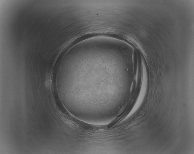 X0000074290483200608251348