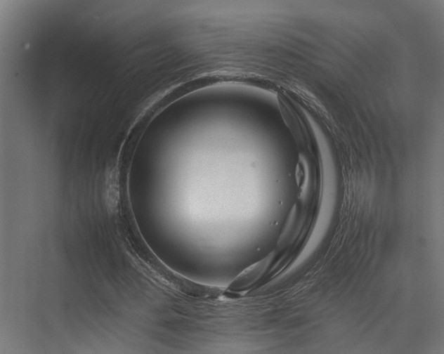 X0000074290484200608251348