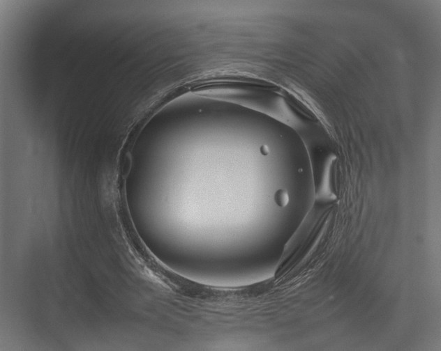 X0000074290485200608251348