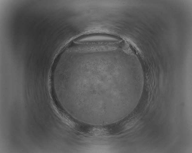 X0000074290487200608251348