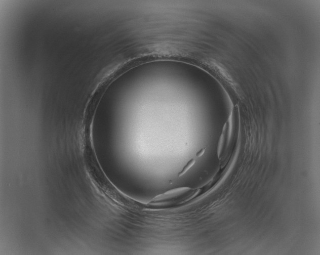 X0000074290488200608251348