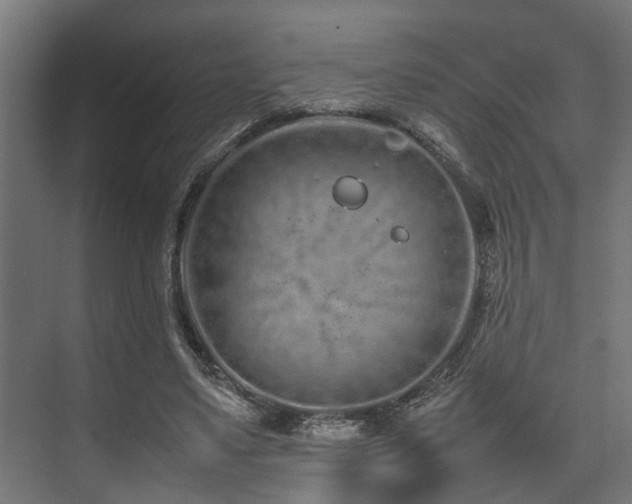 X0000074290491200608251348