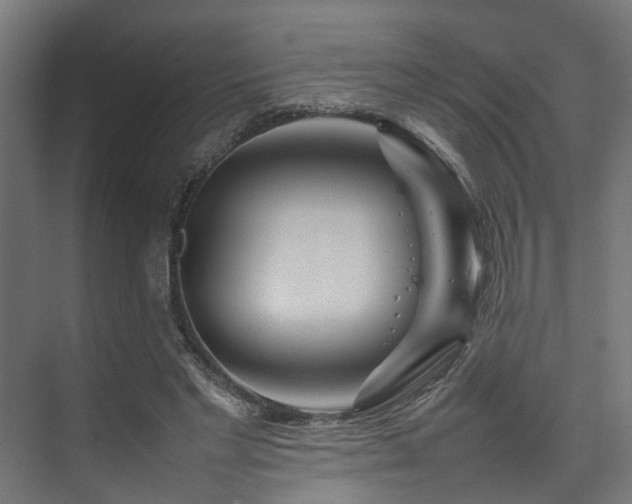 X0000074290493200608251348