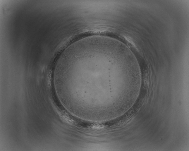 X0000074290495200608251348