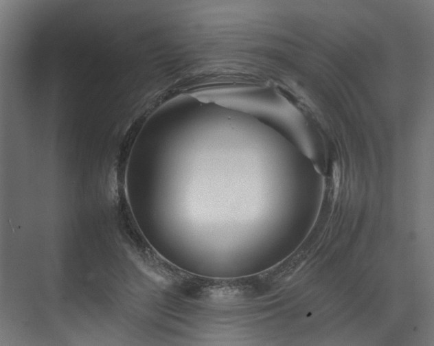 X0000074290500200608251348