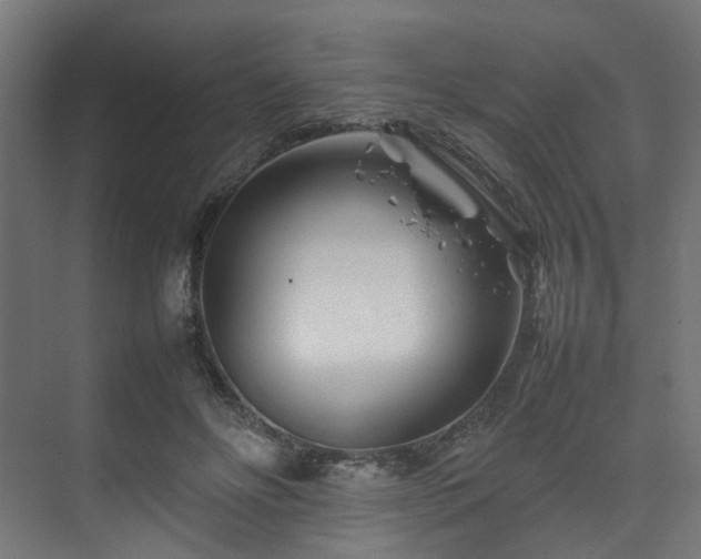 X0000074290502200608251348