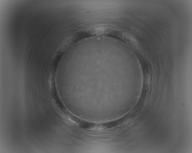 X0000074290503200608251348