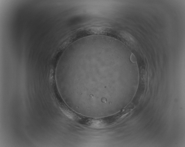 X0000074290507200608251348