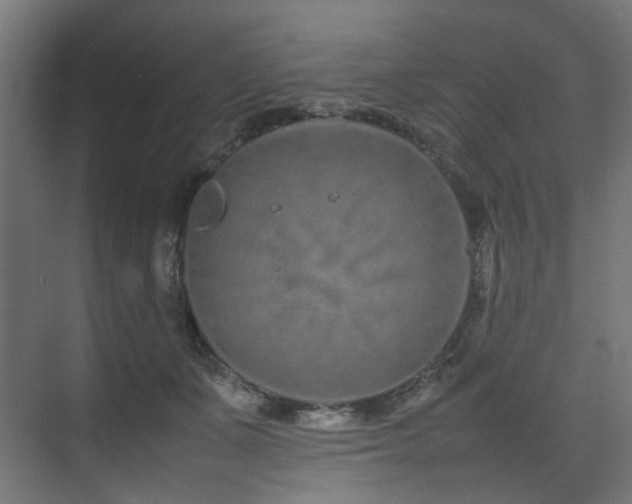 X0000074290511200608251348