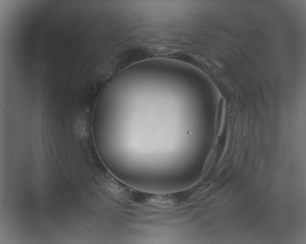 X0000074290515200608251348