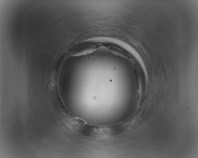 X0000074290517200608251347