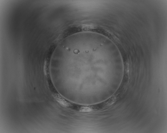 X0000074290519200608251347