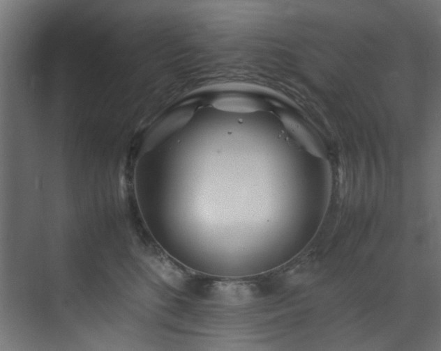 X0000074290520200608251347