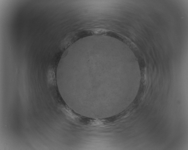 X0000074290523200608251347