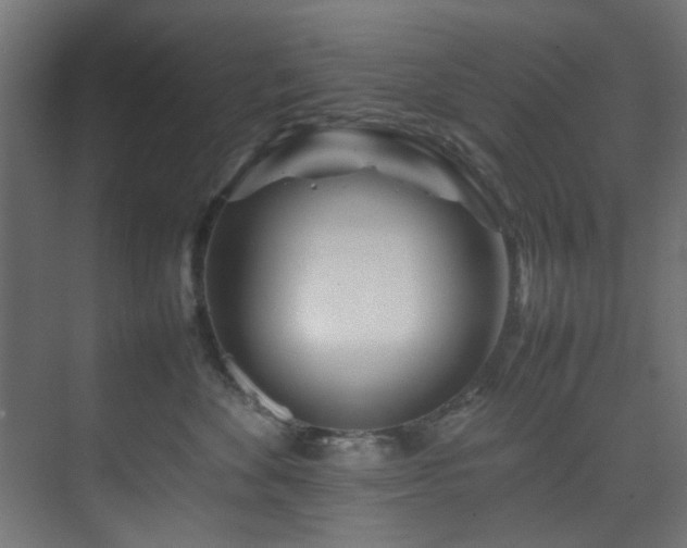 X0000074290524200608251347