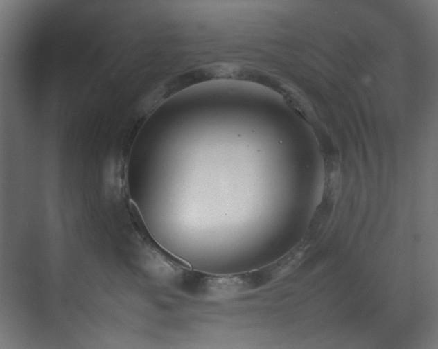 X0000074290525200608251347