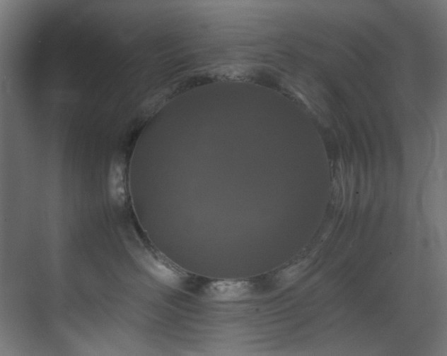 X0000074290526200608251347