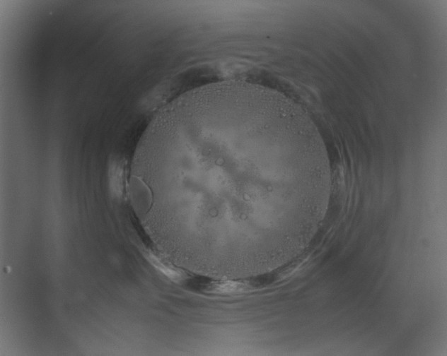 X0000074290527200608251347