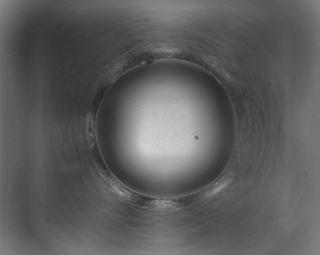 X0000074290528200608251347