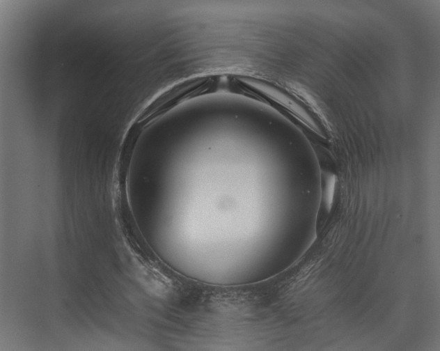 X0000074290532200608251347