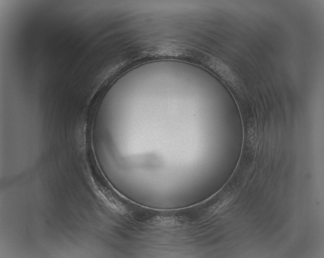 X0000074290534200608251347