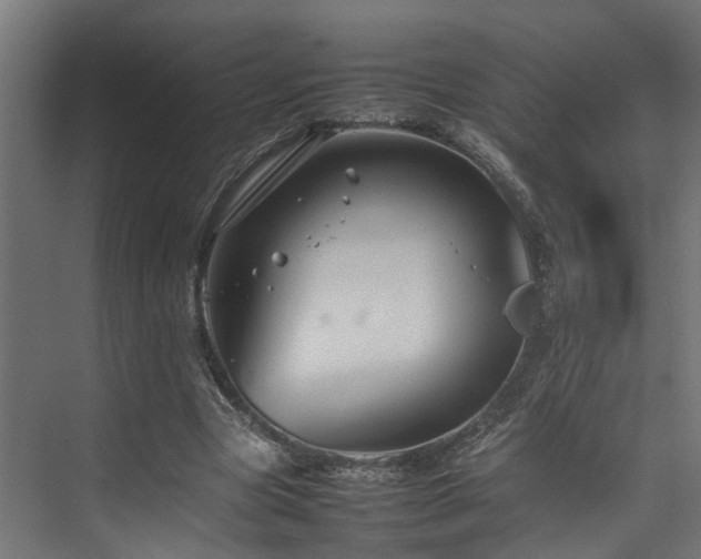 X0000074290537200608251347