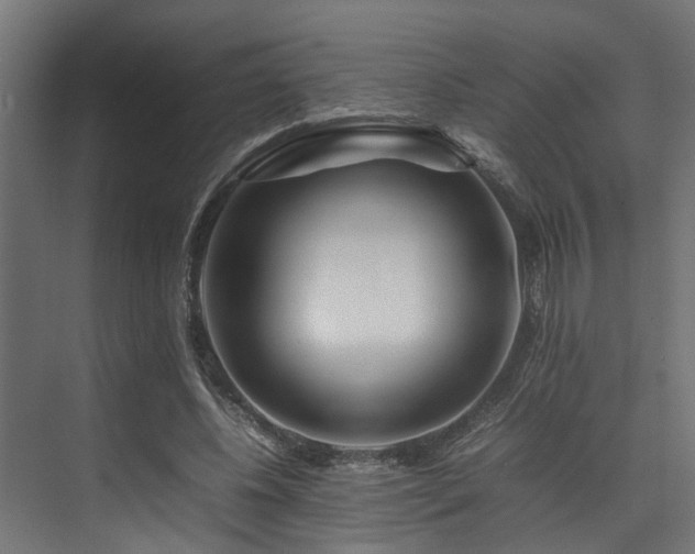 X0000074290540200608251347