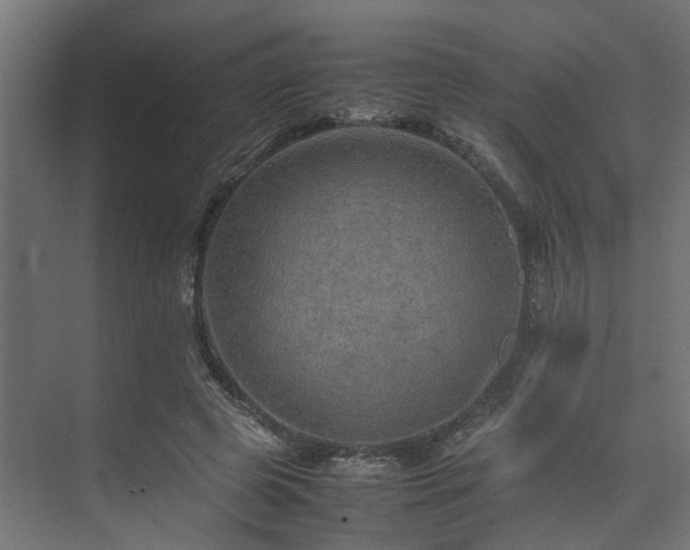 X0000074290545200608251347