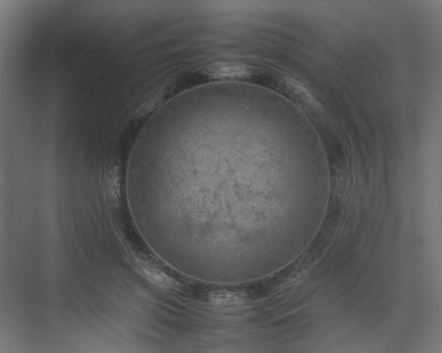 X0000074290549200608251347