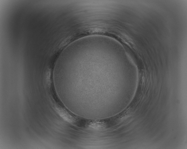 X0000074290550200608251347