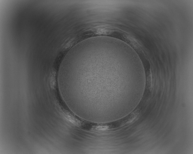 X0000074290554200608251347