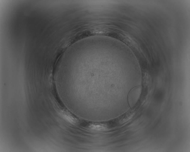 X0000074290557200608251347