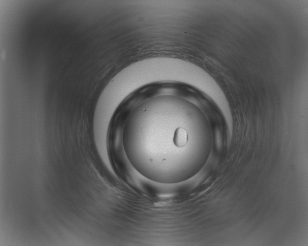 X0000074290560200608251347