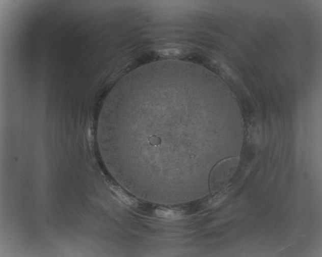 X0000074290561200608251347