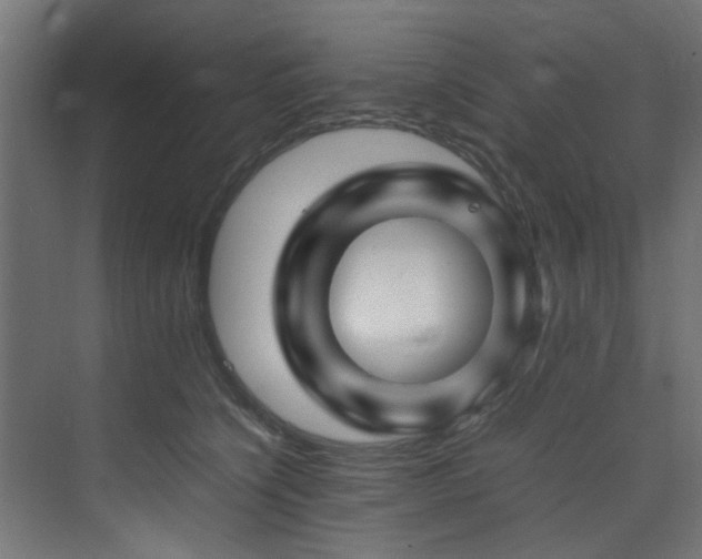 X0000074290564200608251347