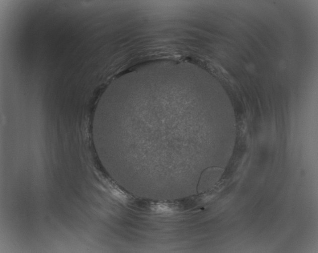 X0000074290565200608251347