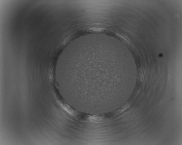 X0000074290568200608251347